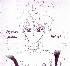 23 (my scan)