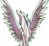 17 (transparent gif)