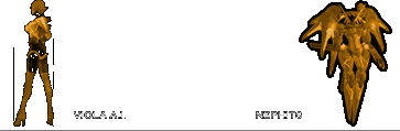 image005.gif (9835 byte)