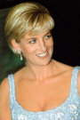 dg18.jpg (58238 bytes)