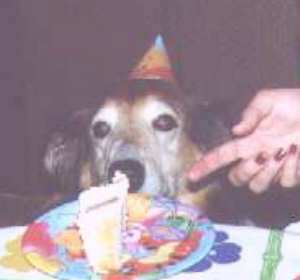 THIS is all I get?&nbsp; I wore this stupid hat for this puny piece of cake?