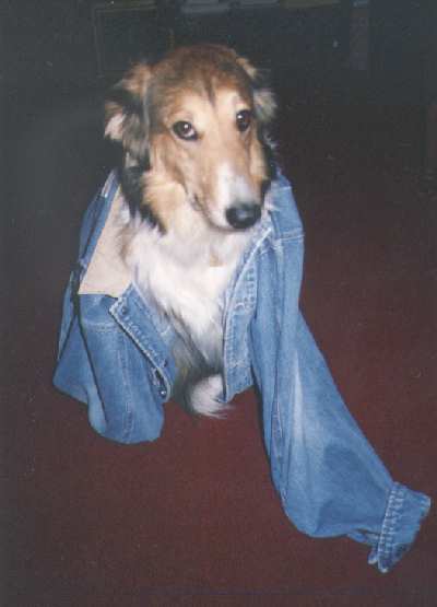 Can you believe how good I look in denim?