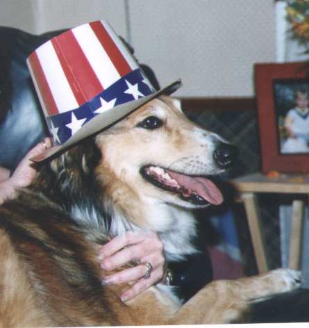 I'm a Yankee Doodle Doggie...Hey!&nbsp; Won't anyone buy an old dog a bone?