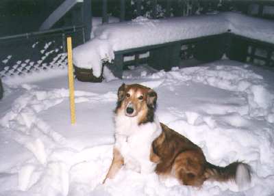 Do you know how cold it is on my rear? Sheesh!