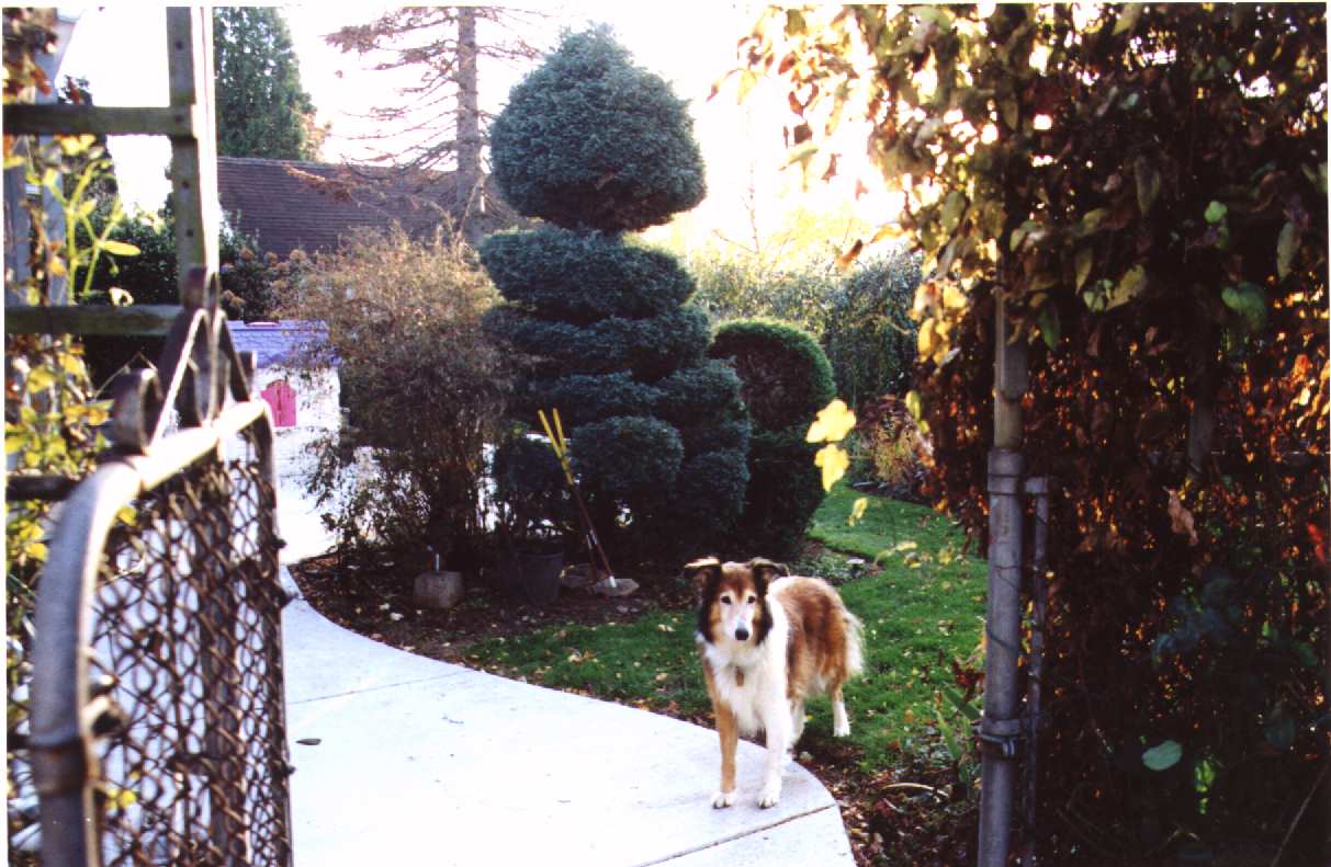 Open gate?&nbsp; Hmm...this must be a trick.&nbsp; I'm not gonna fall for it!&nbsp; 