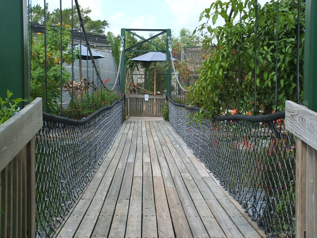 bridge
