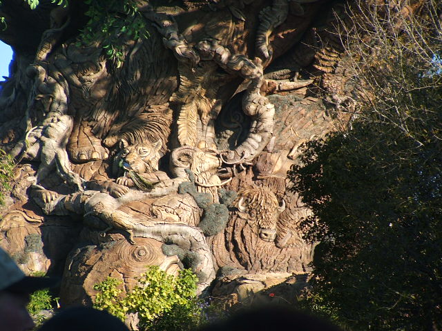 Tree&nbsp; of Life