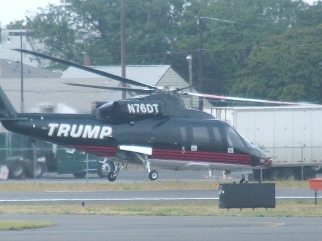 donald's bird