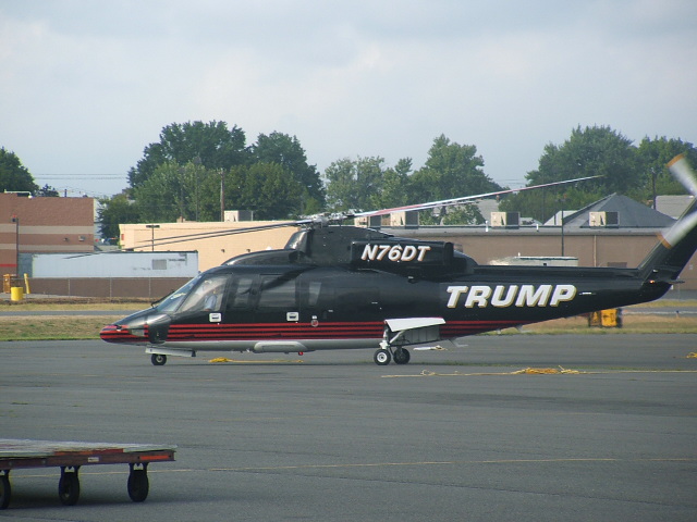 donald's bird
