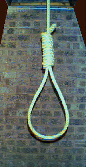Noose