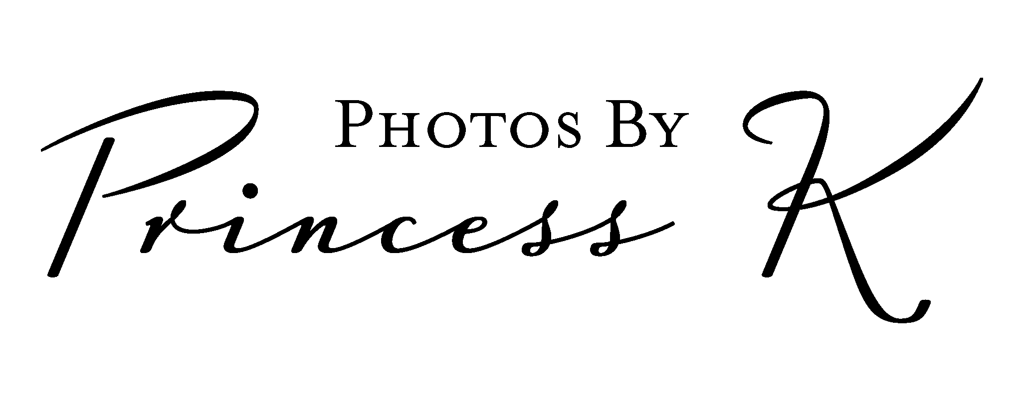 top-logo