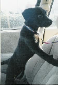 Pictures of my baby!