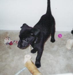 What to play with?