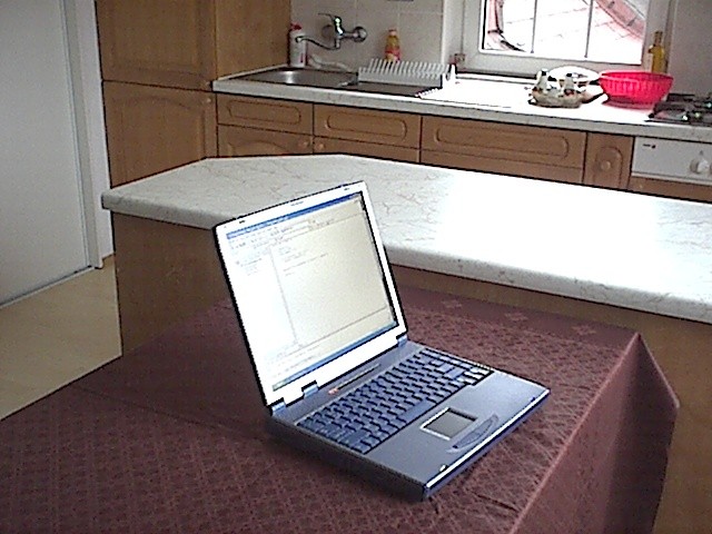 SoftwareProblem_FinalState.jpg (87806 bytes)
