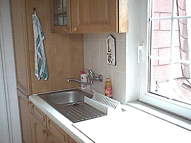 WipingDryDishes_FinalState.jpg (93085 bytes)