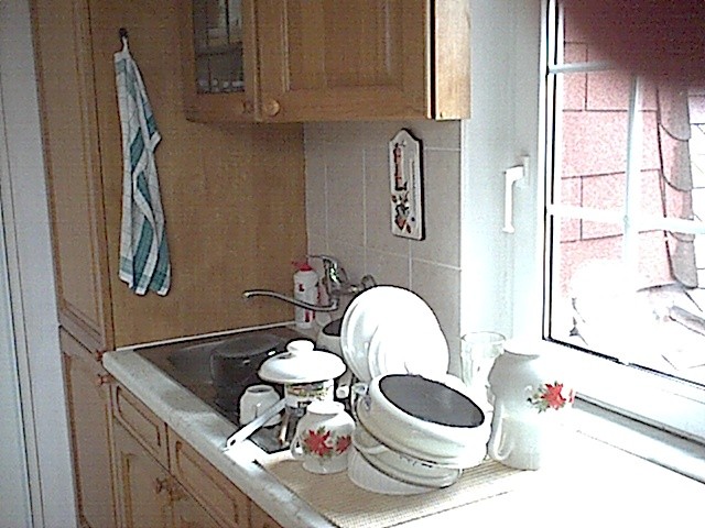 WipingDryDishes_InitialState.jpg (93050 bytes)
