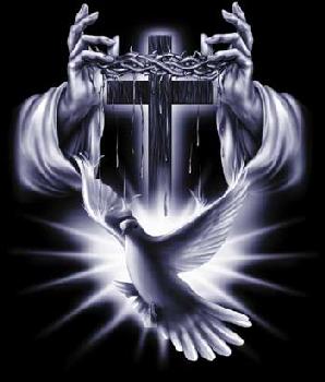 Dove