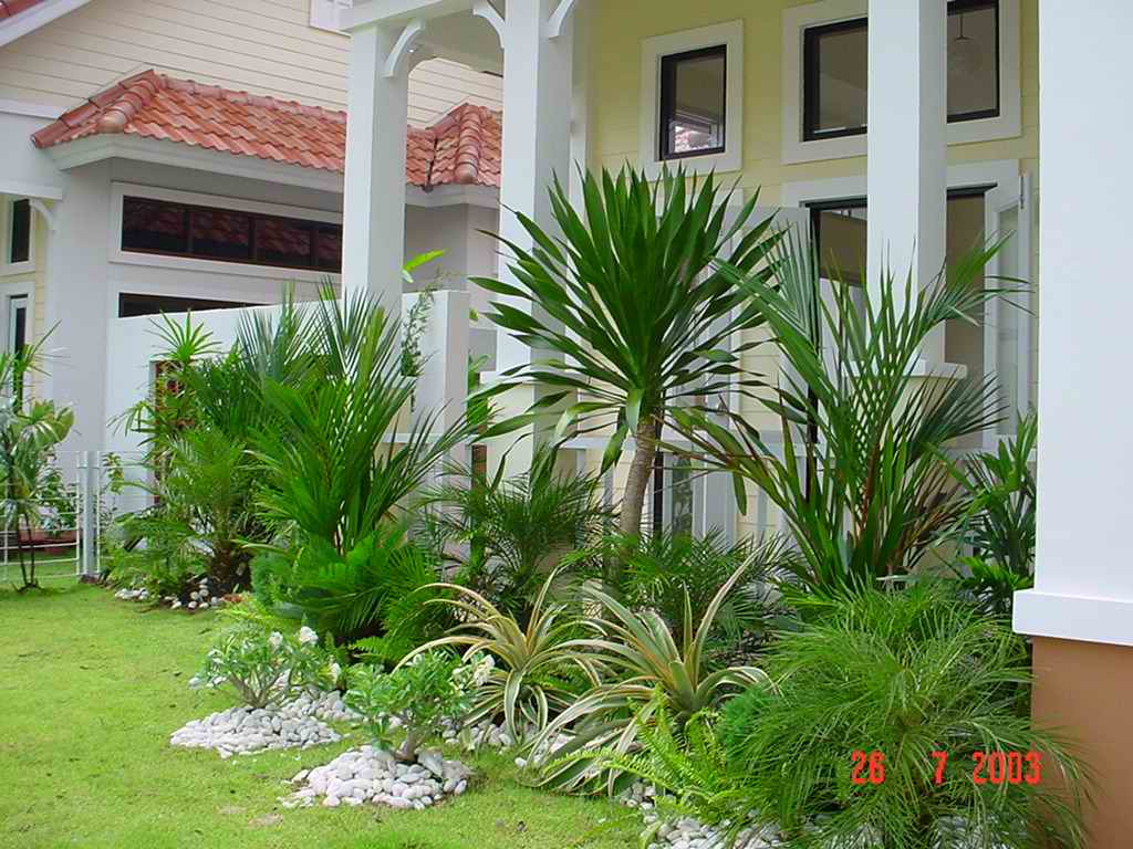 garden
