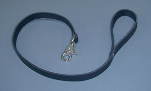 Leash