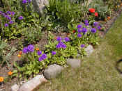 One of the many flowerbeds
