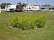 A flowerbed under the flagpole