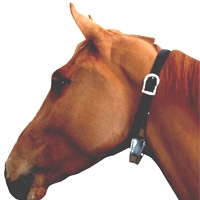 eq