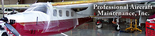 Professional Aircraft Maintenance