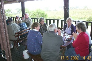 Wine Tasting