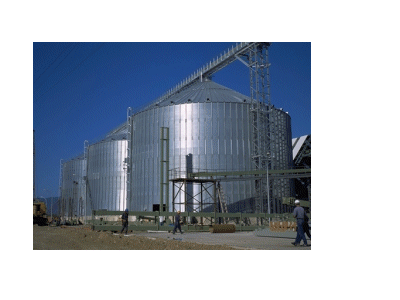 Silos at the Plant