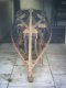 longarina1