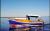 SkiffAmerica