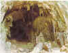 wpeE.jpg (7569 bytes)
