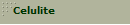 Celulite