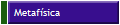 Metaf�sica