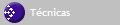 T�cnicas