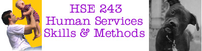 link HSE 243