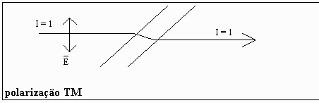 polariza&ccedil;&atilde;o TM