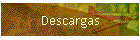 Descargas