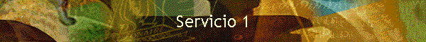 Servicio 1