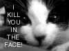 meow!