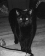 my putty tat :0)