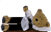 TBCsBrxrciseClr.gif (14787 bytes)