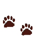 TBCsTdyWlkTrks.gif (3477 bytes)