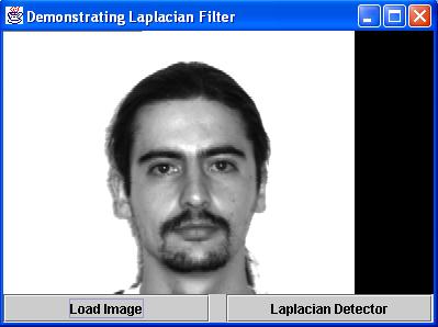 Laplacian Filter
