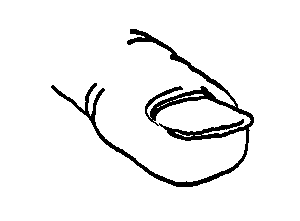 contour drawing of fingernail and cuticle detail
