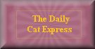 CAT NEWS EXPRESS