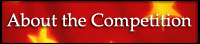 About the Competition