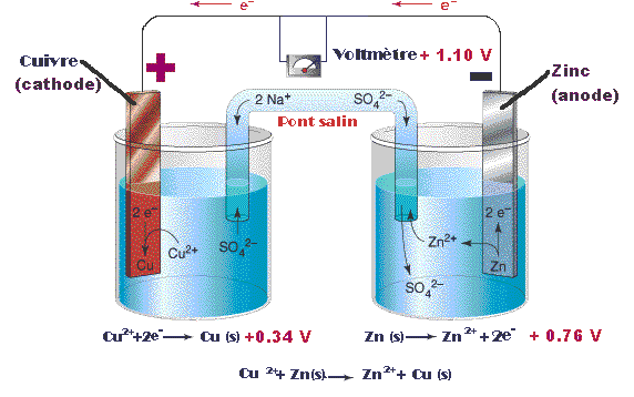 Les réactions rédox dans une cellule