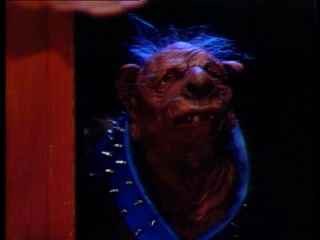 The shrunken head of Ernest Borgnine?