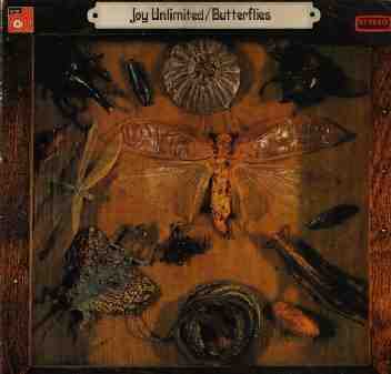 Joy Unlimited: Mounted Insects! Er, I mean, Butterflies!